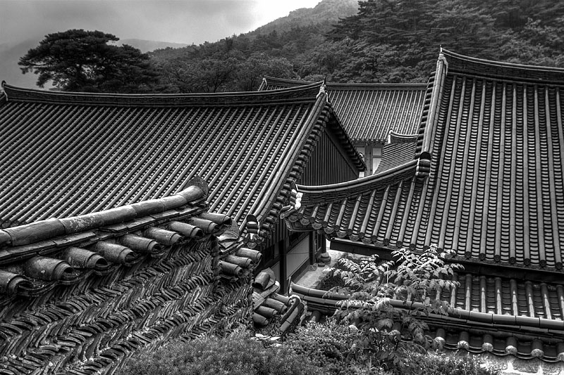 _MG_1849_50_51_tonemapped