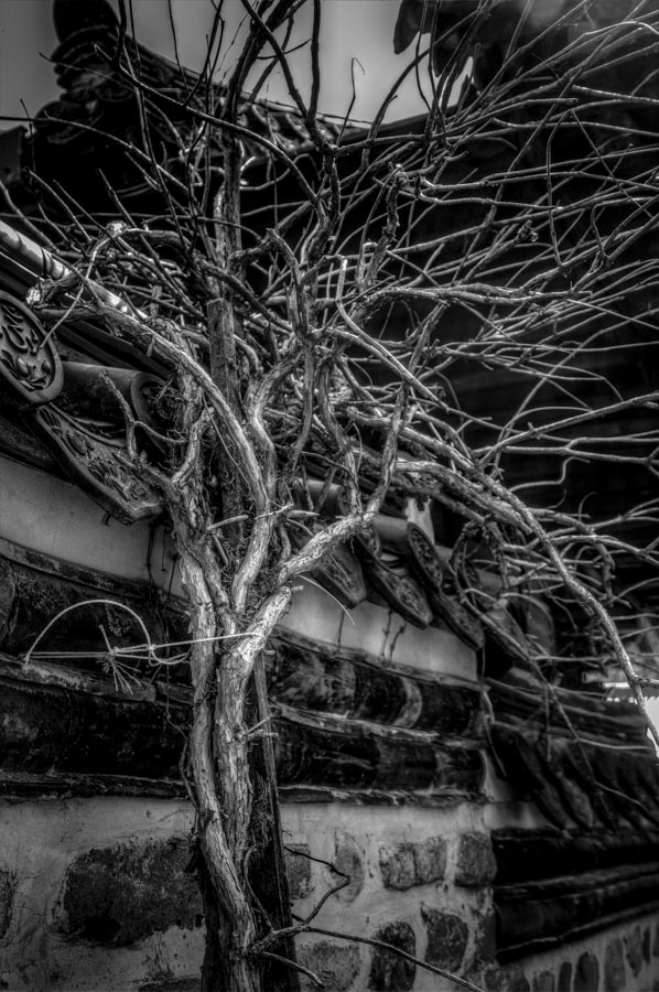 IMG_4602_3_4_tonemapped